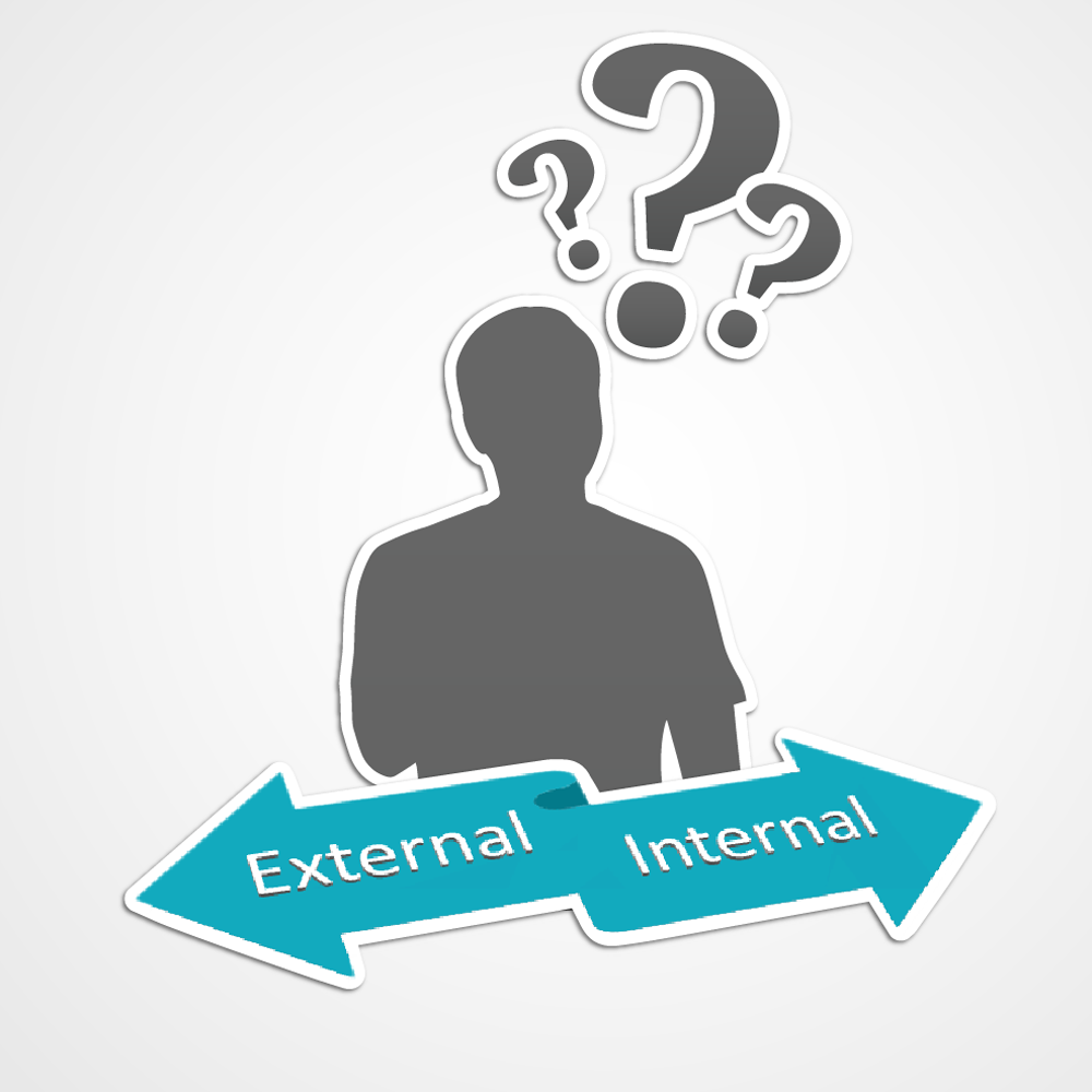 Internal and External Coaching